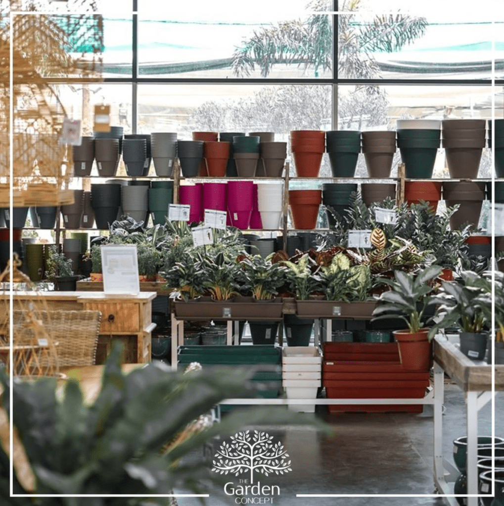 This image has an empty alt attribute; its file name is screenshot-2022-09-22-at-8.20.59-am.png